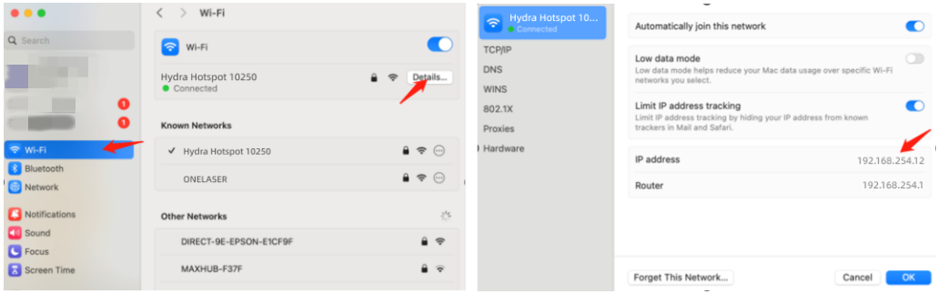 Mac WiFi details IP example